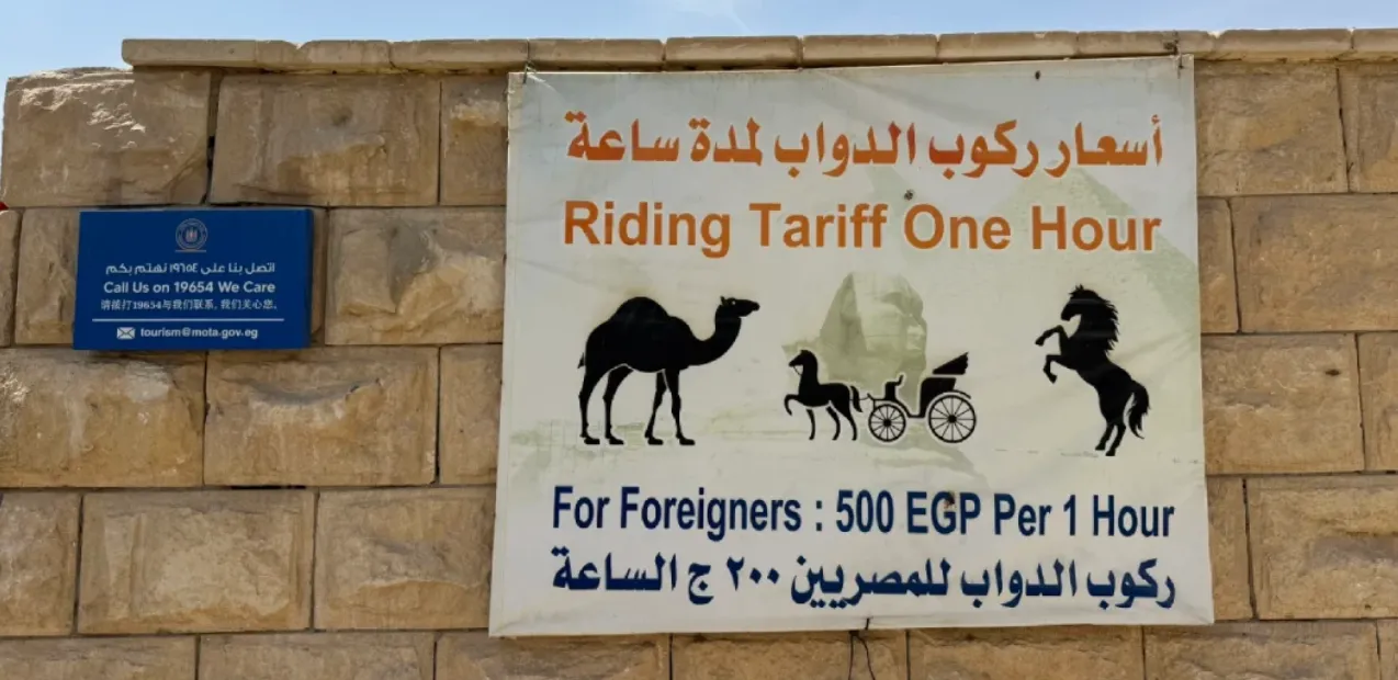 骑骆驼标准价格